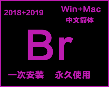  Br中文简体安装包win+mac系统